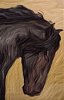 cheval5.png