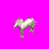 unicornwhite2.png