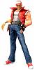 Terry bogard.jpg